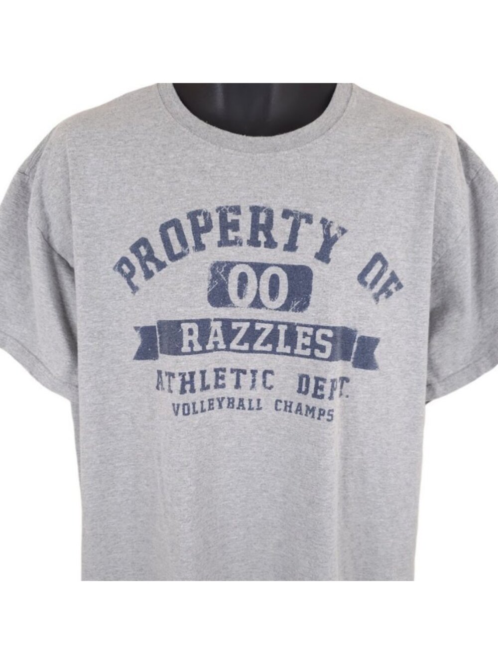 Razzles Volleyball Champions T Shirt Mens Size XL Gray Athletic Department